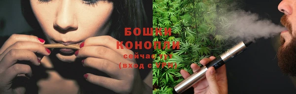 трава Кирсанов