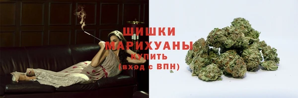 альфа пвп Гусиноозёрск